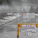 도계유통 이미지