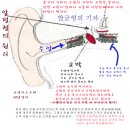 이퀄라이징에 대하여 이미지