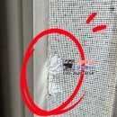 수출대로-18 이미지