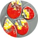 심지주유소 이미지