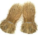 순희농장 이미지