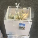 6619 | 소율스튜디오 세미 촬영 후기 (가격, 세미 리허설 준비 꿀팁, 내돈내산)