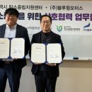 블루모터스 이미지