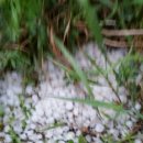 홍문표농장 이미지