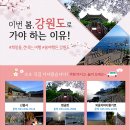 디큐모텔