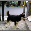 등촌2동011 이미지