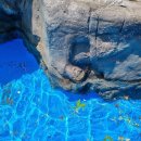 충식농장 이미지