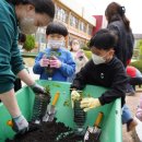 청원초교 이미지