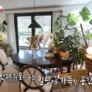 정원 퍼피 하우스 이미지