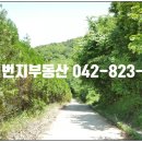 노은리슈빌탑공인중개사사무소 | 대전 저평가되어있는 곳/노은한화꿈에그린 VS 노은계룡리슈빌3 아파트 지금이 매수할 시기?