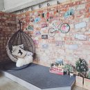 옐로우라이트하우스 이미지