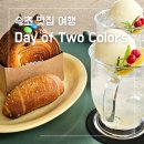 데이오브투컬러스 | 속초 여행 - 유명 감성 카페 데이오브투컬러스 다녀온 솔직 후기