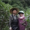 찐촌바이브