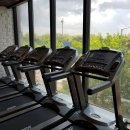 고포잇짐 이미지