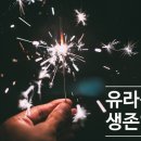 유라신랑의 생존일기. 행크12개월차 이미지