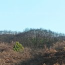 문화축산 이미지