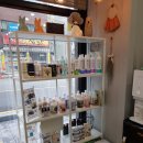 Salon de PET(살롱 드 펫) | 부산 서구 애견미용 살롱드독, 비숑프리제 하이바 / 몸1센치컷 / 전체미용