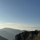 영신사슴농장 이미지