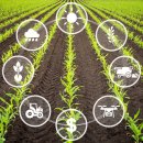 4차 산업혁명과 스마트 팜 이미지