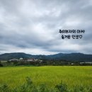 초정밸리 이미지