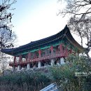 우물청과 이미지