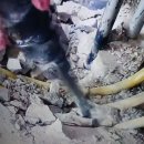 더착한클린인 | 평택누수탐지 착한 클린 설비에서 진행한 보일러 분배기 재작업 후기