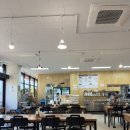 한양 | 평택감자탕맛집 본가뼈다귀감자탕 가성비 좋은 푸짐한 한끼 추천