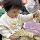 후루룩 - 영등포구 국회대로62길 21 | 플레이풀 역북점 리틀킹콩 봄학기 후루룩 후루룩 누들 후기