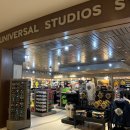 독앤트리 | [미국] 올랜도 유니버셜 스튜디오 리조트 혜택 및 추천 후기 (유니버셜 엔들리스 서머 독사이드 꿀팁)