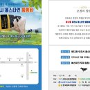이천시, ‘제12회 홀스타인 품평회’ 30일 개최…우량 젖소 개량 성과 한자리 이미지