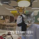 랄츠카페 | 인천 아기랑 카페, 아인병원 근처 랄츠카페 다녀온 후기 :-)