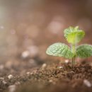 마이유기질비료 이미지