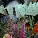 캘리그래피(Ⅰ) 이미지