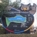 마산1로 느티나무길 이미지