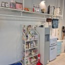 엘리시안퍼피 이미지