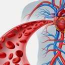 전신순환 필라테스 이미지