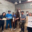 제주대학교 말전문동물병원 이미지