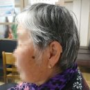 남산4리경로당 이미지