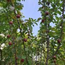 옥정로4길 이미지