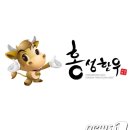 홍성한우 이미지