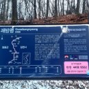 황의사 이미지