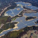 현지태양광발전소 이미지