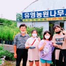 유영농장 네이버블로그
