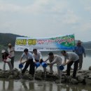 동강수산장어 이미지