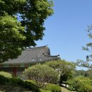 김유정로 R 네이버블로그