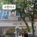 그루비 | 광주화분 , 수완지구플랜트샵 그루비 홍콩야자 구매후기