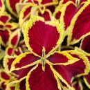 단위농협사거리(공원앞) 이미지