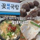 꽃돼지국밥 | 부산 광안리 돼지국밥 맛집 내돈내산 꽃돼지국밥 솔직후기