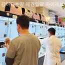 강아지분양 애견입양 아이러브독 수원점 말티푸미니비숑포메 이미지