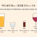 맨날술이야 네이버블로그